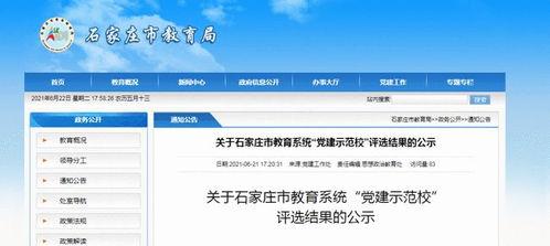 石家庄教校爆料最新消息,重大改革动态揭秘