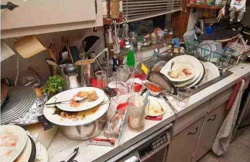 吃瓜厨房洗碗的网红,揭秘厨房清洁背后的辛酸与欢乐  第1张